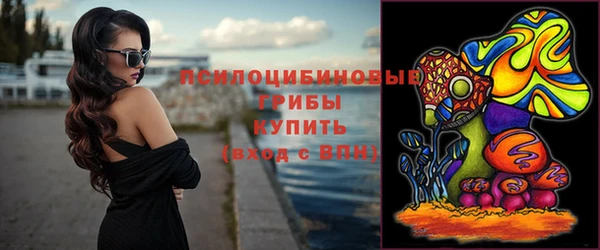 эйфоретик Новокубанск