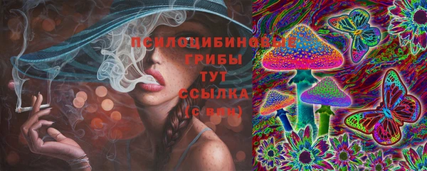 мдма Новозыбков