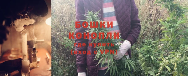 эйфоретик Новокубанск