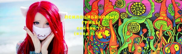 эйфоретик Новокубанск